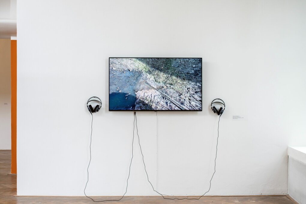 Nejisté domovy: Tamara Spalajković